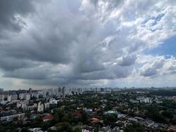 D'Leedon (D10), Condominium #608964461